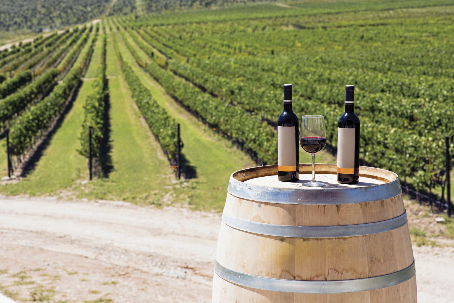 Copas y botella de vino sobre una barrica en un viñedo de Parras