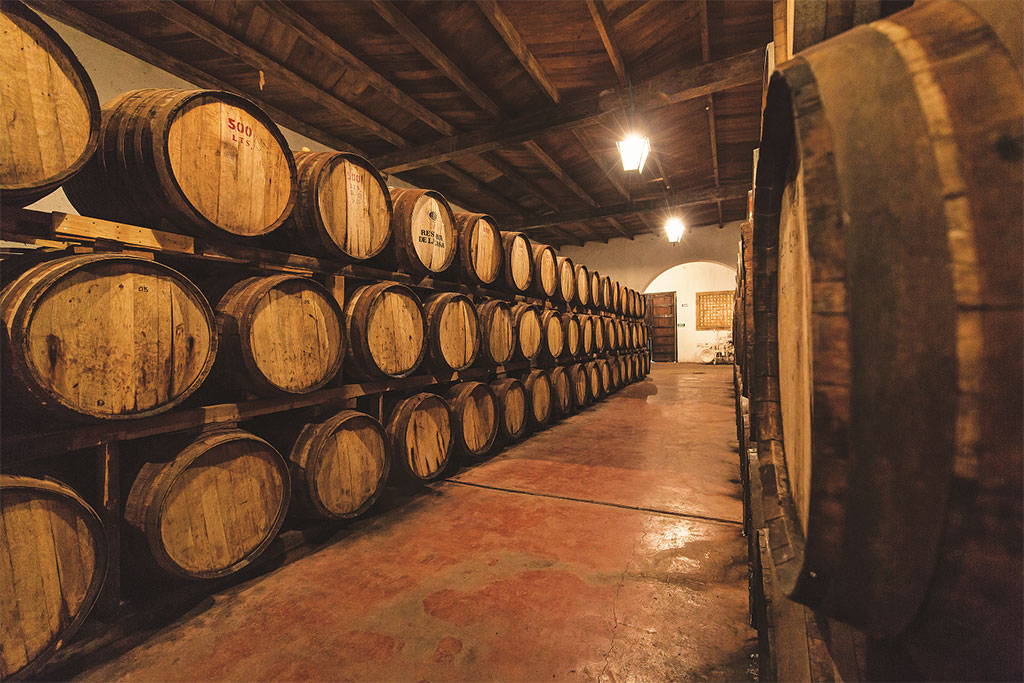 Interior de bodega de Casa Madero con barricas de roble en Parras, Coahuila